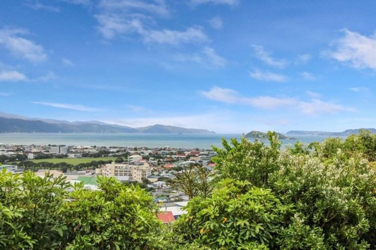 Photo of property in 29 Magnolia Grove, Maungaraki, Lower Hutt, 5010