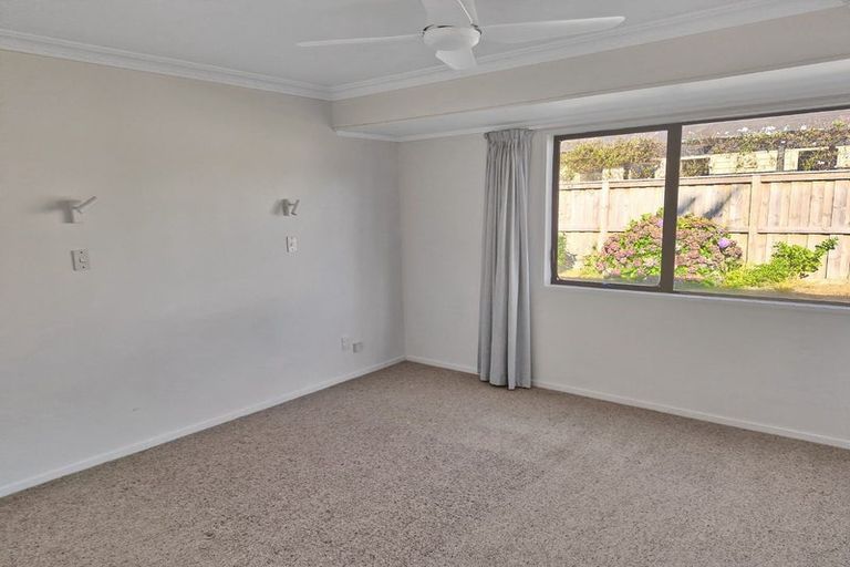 Photo of property in 43a Hibiscus Avenue, Mount Maunganui, 3116