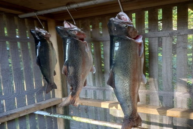 Photo of property in 483 Spencer Road, Lake Tarawera, Rotorua, 3076