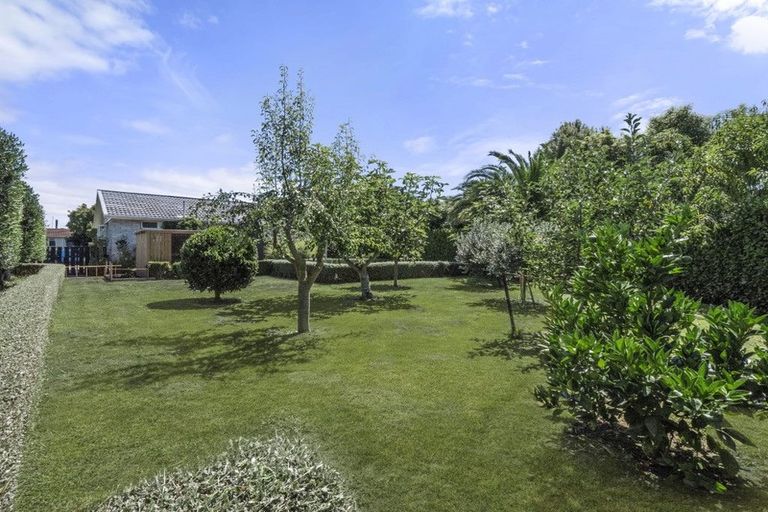 Photo of property in 21 Tasman Street, Havelock North, 4130