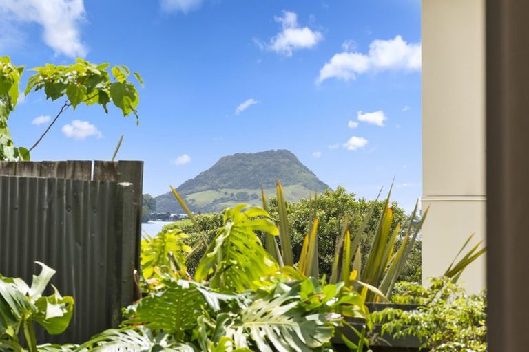 Photo of property in 111b Twelfth Avenue, Tauranga South, Tauranga, 3112