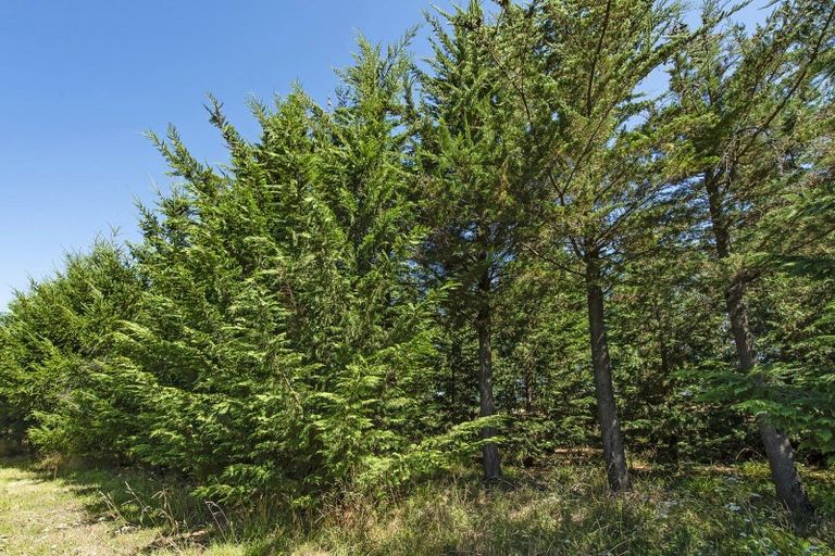 Photo of property in 337 Foothills Road, Okuku, Rangiora, 7473