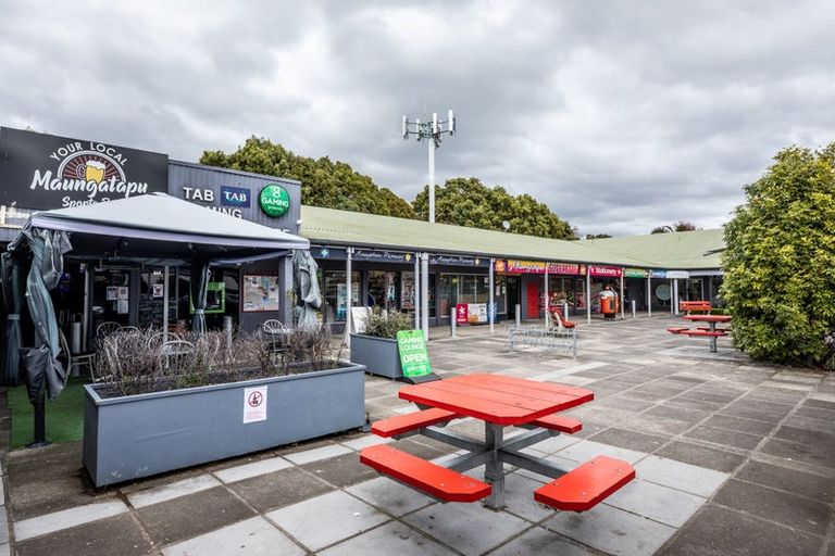 Photo of property in 175 Te Hono Street, Maungatapu, Tauranga, 3112