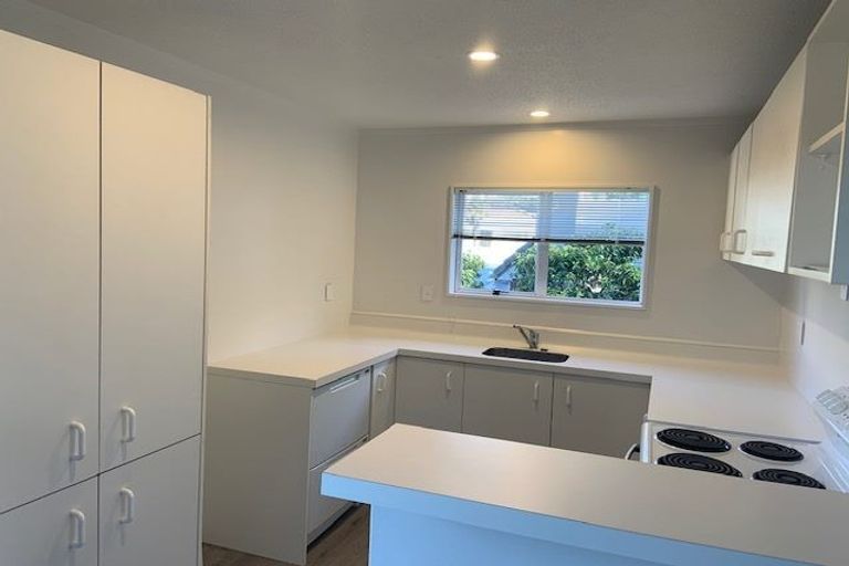 Photo of property in 3/73 Washington Avenue, Brooklyn, Wellington, 6021