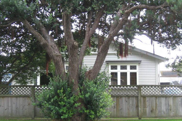 Photo of property in 17 Lincoln Avenue, Epuni, Lower Hutt, 5011