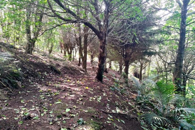 Photo of property in 75a Cottle Hill Drive, Kerikeri, 0293