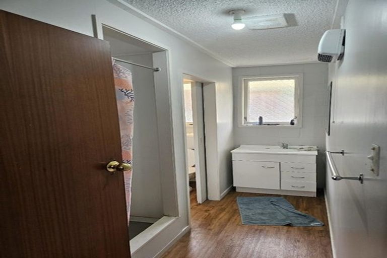 Photo of property in 105 Lake Crescent, Hamilton Lake, Hamilton, 3204