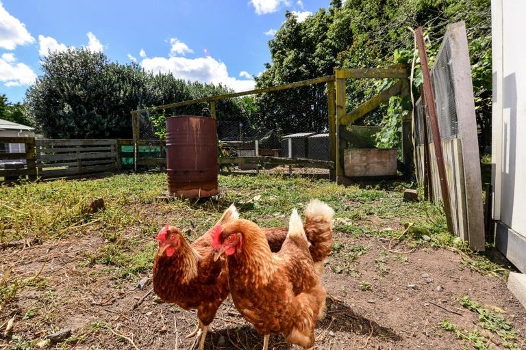 Photo of property in 11 Appleton Lane, Eureka, Hamilton, 3287