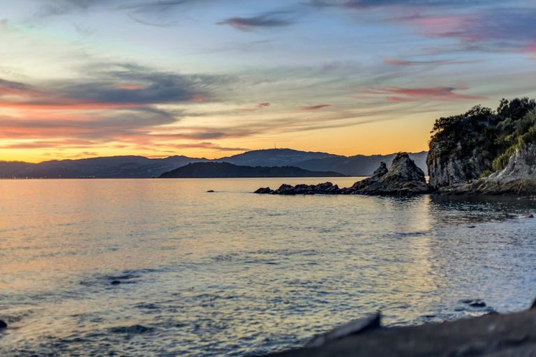 Photo of property in 409 Marine Drive, Mahina Bay, Lower Hutt, 5013