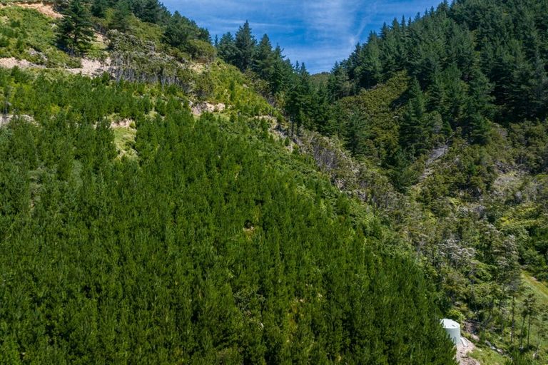 Photo of property in 785 Waikakaho Road, Tuamarina, Blenheim, 7273