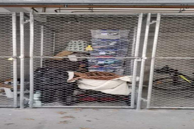 Photo of property in 2 Chiefs Court, Hamilton East, Hamilton, 3216