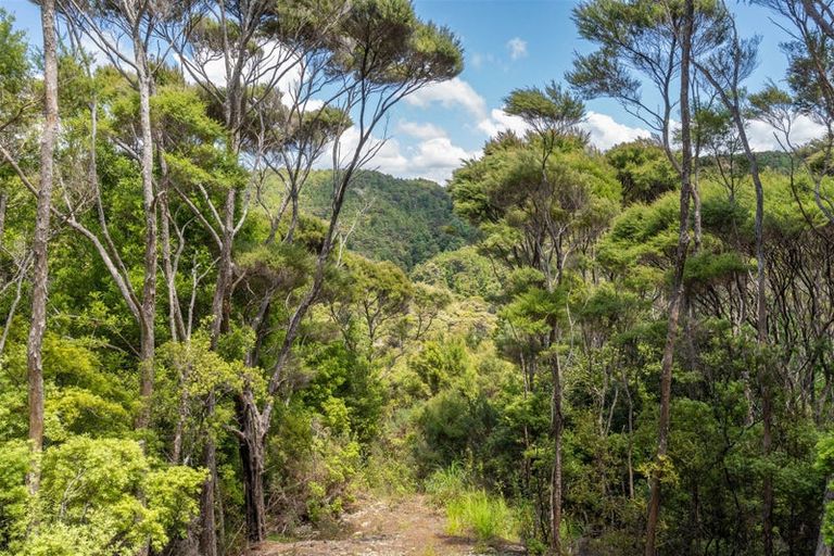 Photo of property in 33 Hihitahi Rise, Paihia, 0200