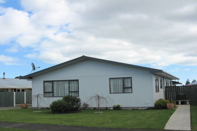 Photo of property in 46 Strathmore Avenue, Levin, 5510