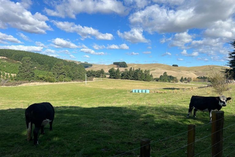 Photo of property in 923 Oporae Road, Waione, Dannevirke, 4971