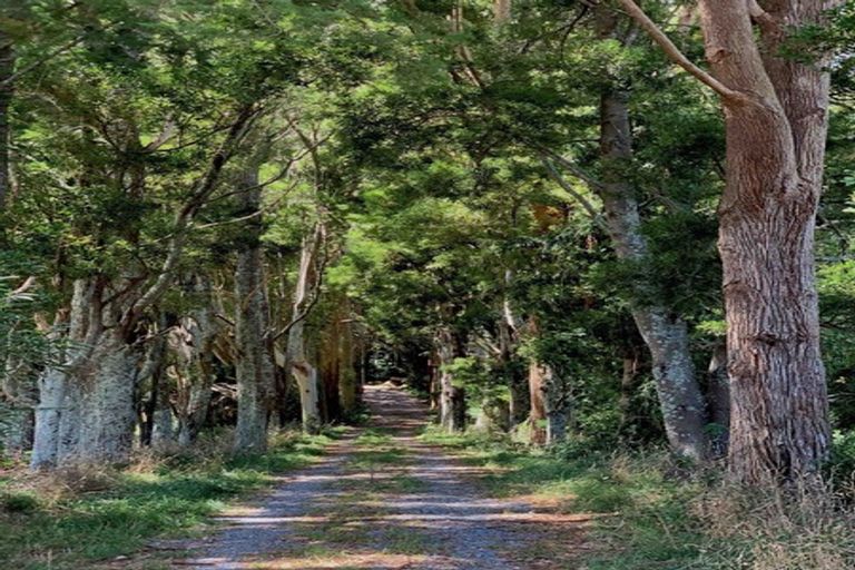 Photo of property in 443 East Takaka Road, East Takaka, Takaka, 7183