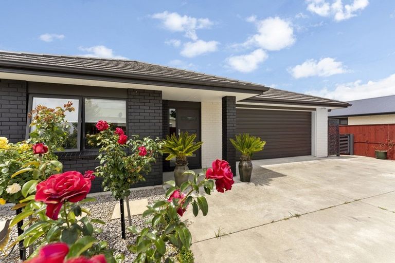 Photo of property in 101b Makino Road, Feilding, 4702