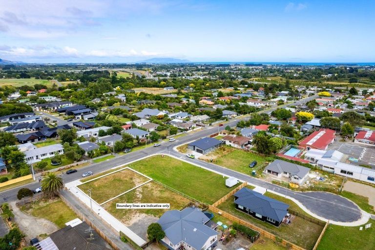 Photo of property in 38a Te Manuao Road, Otaki, 5512