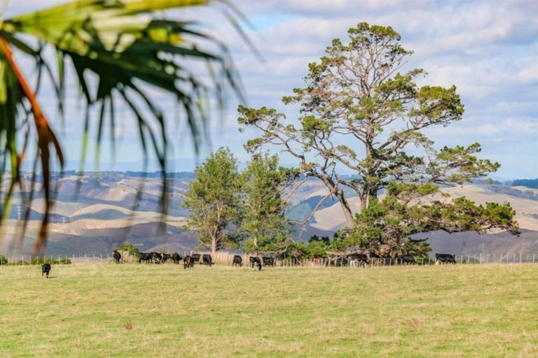 Photo of property in 174 Kauangaroa Road, Fordell, Whanganui, 4577