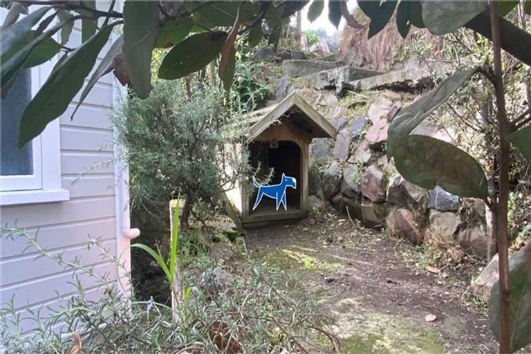 Photo of property in 19 Princess Terrace, Newtown, Wellington, 6021