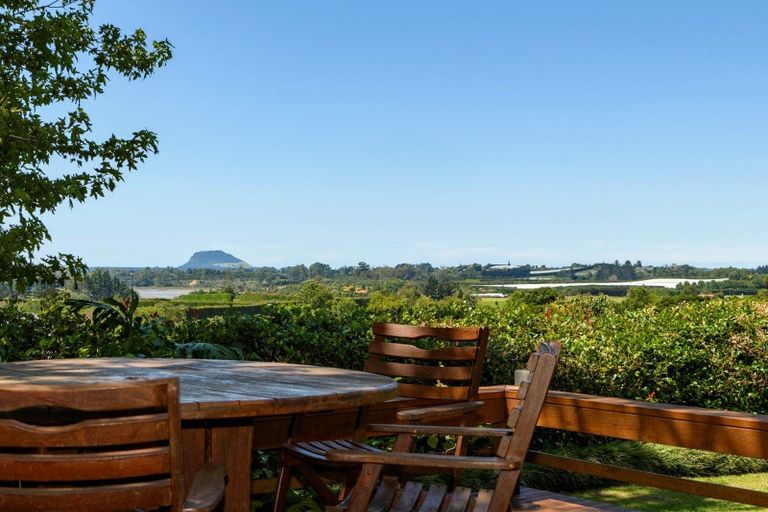 Photo of property in 29 Whakamarama Road, Whakamarama, Tauranga, 3179