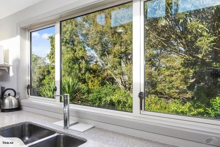 Photo of property in 56 Pacific Street, Roslyn, Dunedin, 9010