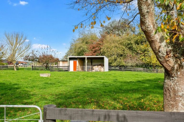 Photo of property in 66 Mill Road, Ohaupo, 3881