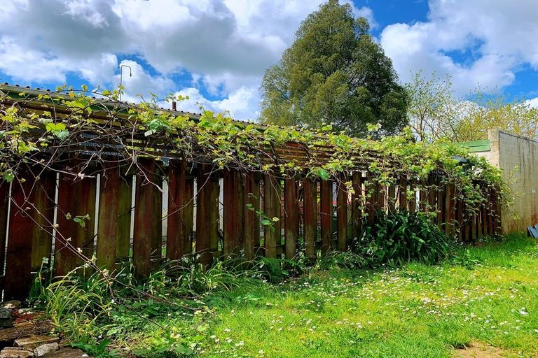 Photo of property in 67 Aurora Terrace, Hillcrest, Hamilton, 3216