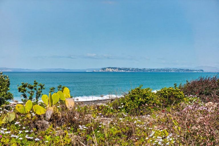 Photo of property in 286 Whirinaki Road, Eskdale, Napier, 4182