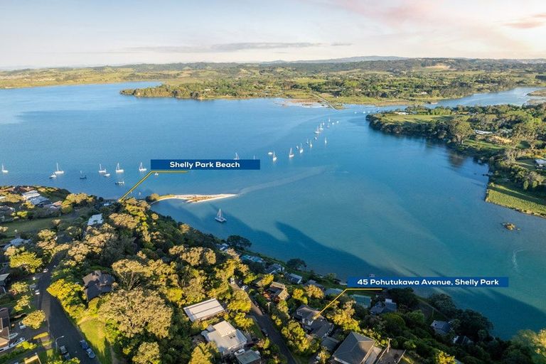 Photo of property in 45 Pohutukawa Avenue, Shelly Park, Auckland, 2014