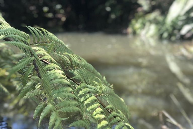 Photo of property in 166b Heard Road, Waihi, 3681