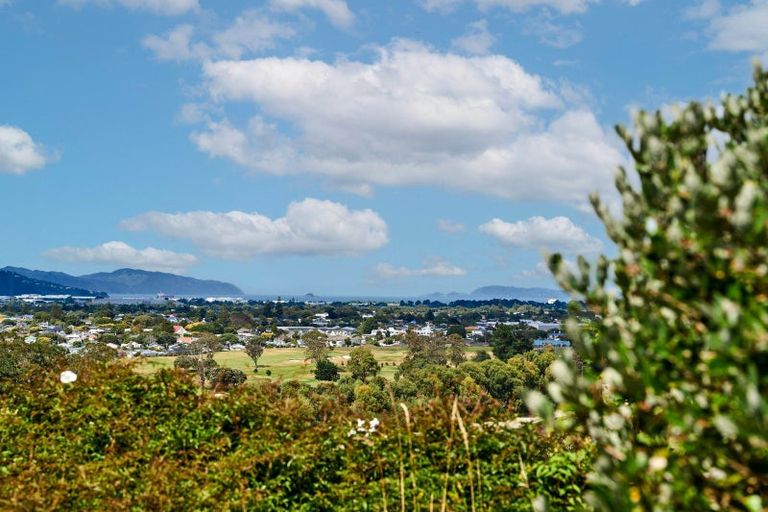 Photo of property in 19 Palm Grove, Belmont, Lower Hutt, 5010