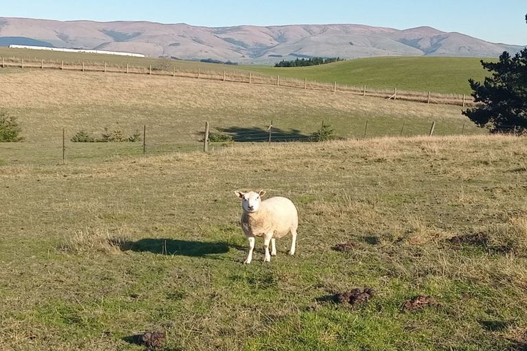 Photo of property in 86 Totara Island Road, Clifton, Balclutha, 9273