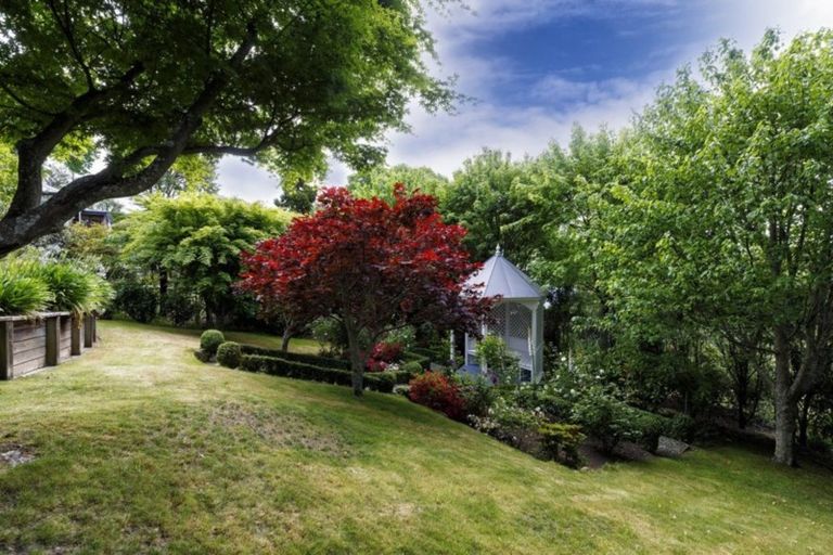 Photo of property in 41 Brougham Street, Nelson South, Nelson, 7010