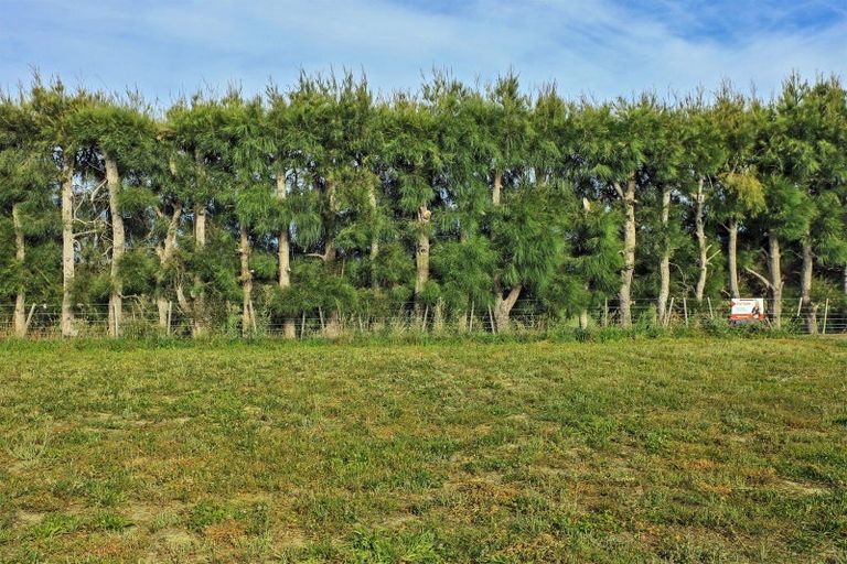 Photo of property in 61 Wai Whatu Street, Meeanee, Napier, 4110