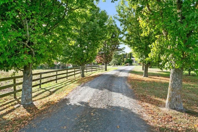 Photo of property in 372 Roto O Rangi Road, Rotoorangi, Cambridge, 3495