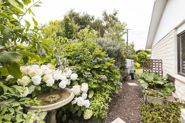 Photo of property in 103 Salisbury Street, Ashhurst, 4810