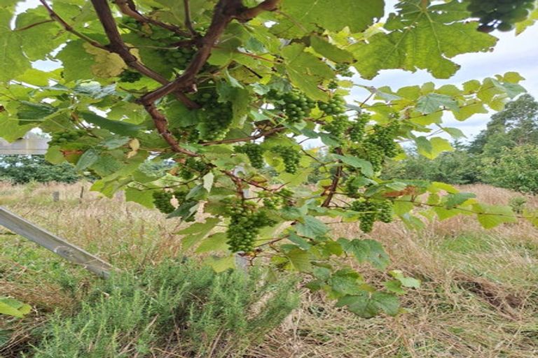 Photo of property in 695e Chester Road, West Taratahi, Carterton, 5791