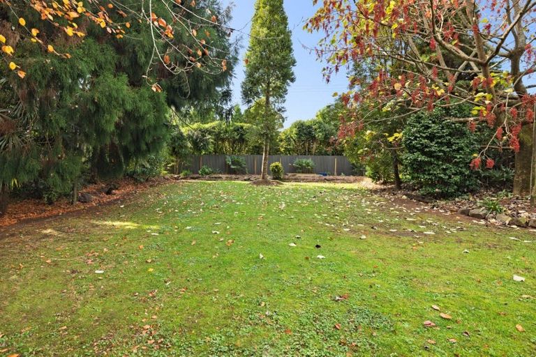Photo of property in 556 Pyes Pa Road, Pyes Pa, Tauranga, 3173