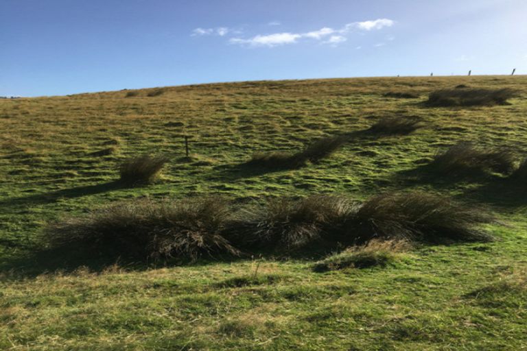 Photo of property in 50 Mcintosh Road, Brighton, Dunedin, 9035