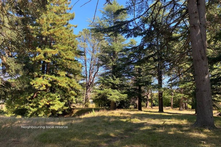 Photo of property in 16 Robinson Street, Cheviot, 7310