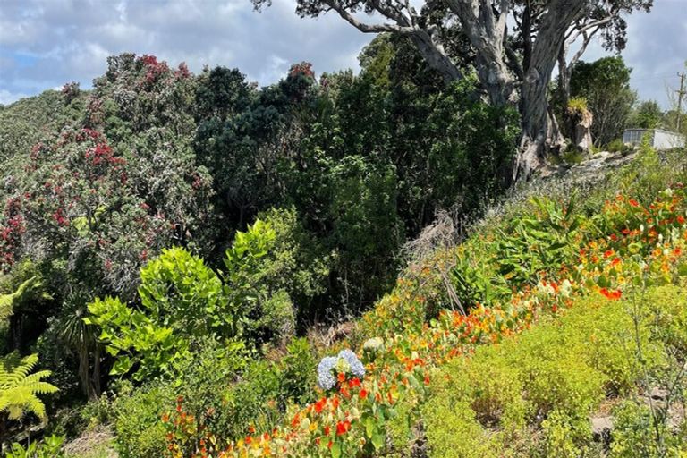 Photo of property in 1111d Cove Road, Langs Beach, Waipu, 0582