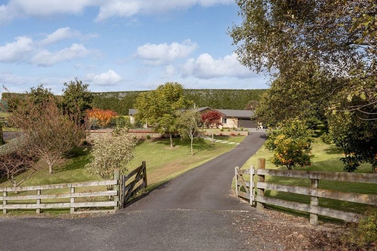 Photo of property in 215a Crawford Road, Minden, Tauranga, 3171