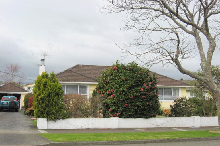 Photo of property in 160 Weraroa Road, Levin, 5510