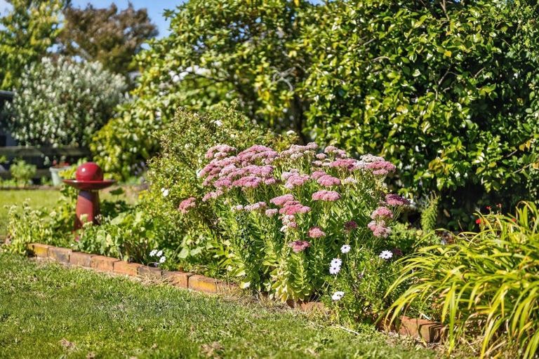 Photo of property in 29 Cockburn Street, Kuripuni, Masterton, 5810