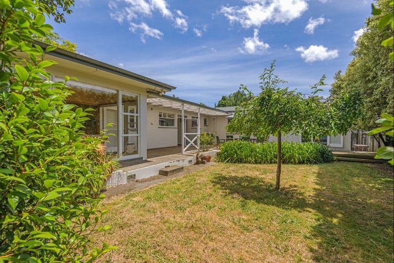 Photo of property in 41 Saint Albans Avenue, Hokowhitu, Palmerston North, 4410