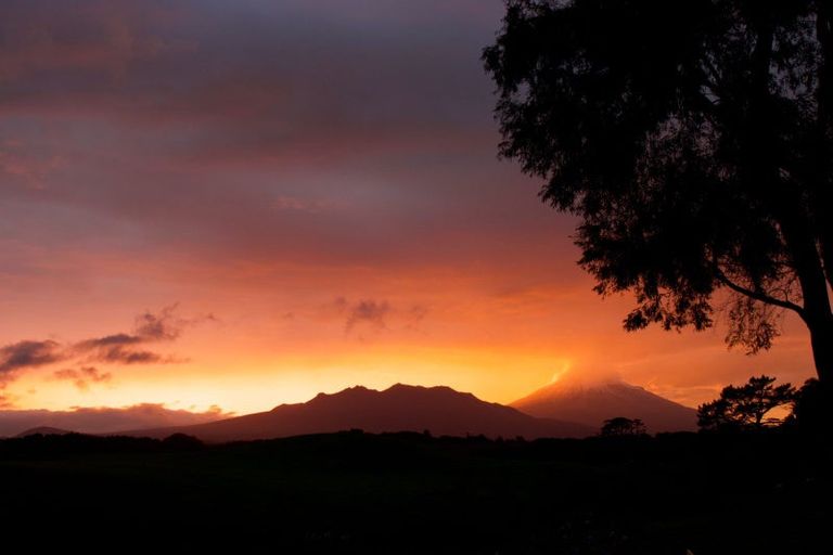 Photo of property in 100 Carthew Street, Okato, 4335