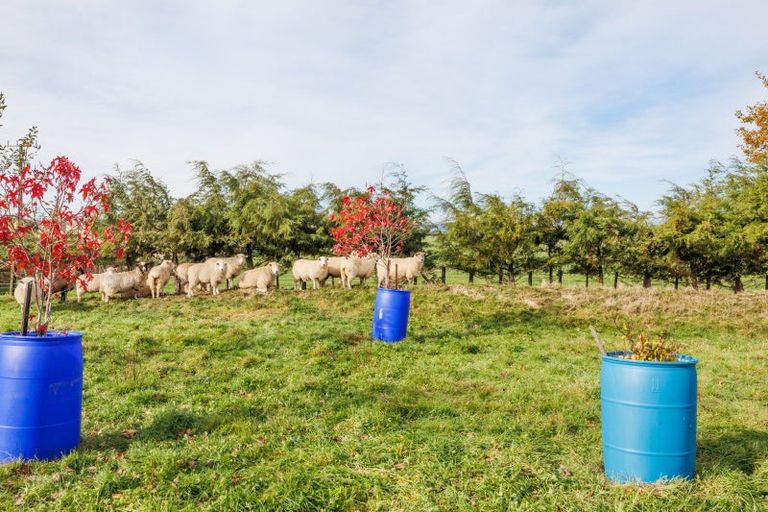 Photo of property in 1867 Makino Road, Halcombe, Feilding, 4779