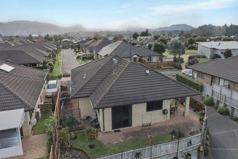 Photo of property in 55 Malta Crescent, Katikati, 3129