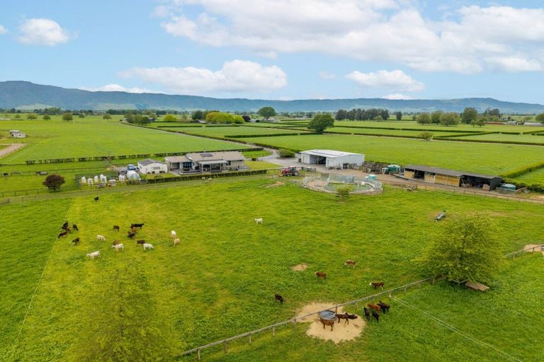 Photo of property in 1636 Alexandra Road, Waharoa, 3474