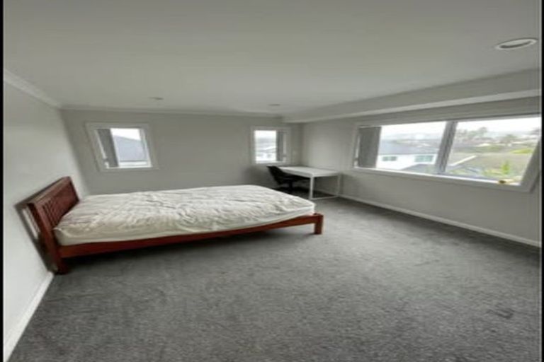 Photo of property in 20 Quattro Avenue, Flat Bush, Auckland, 2019